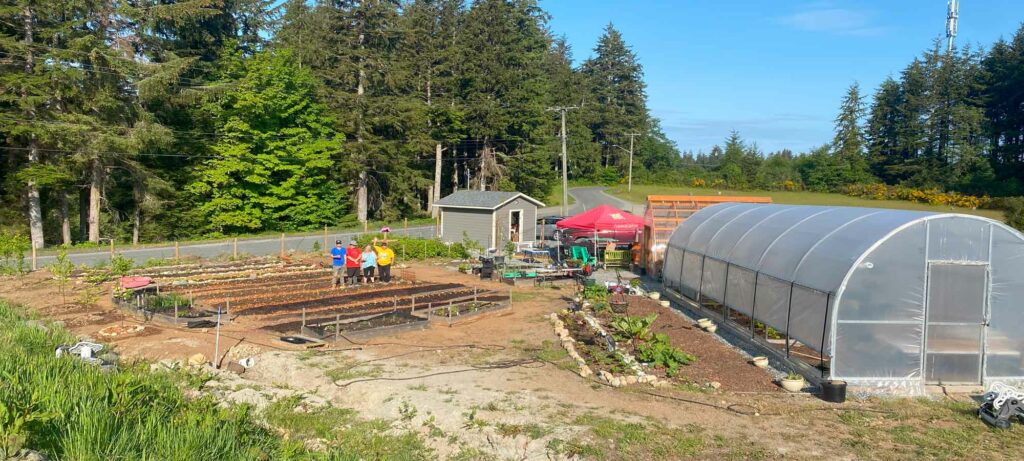 The Nawalakw Community Education and Demonstration Farm in Alert Bay provides garden boxes in three different communities. Photo courtesy of XX.