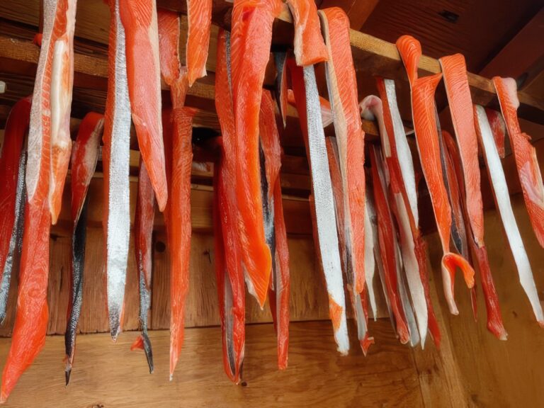 Salmon is hanging to dry in a traditional method in the Ahousaht First Nation territory.