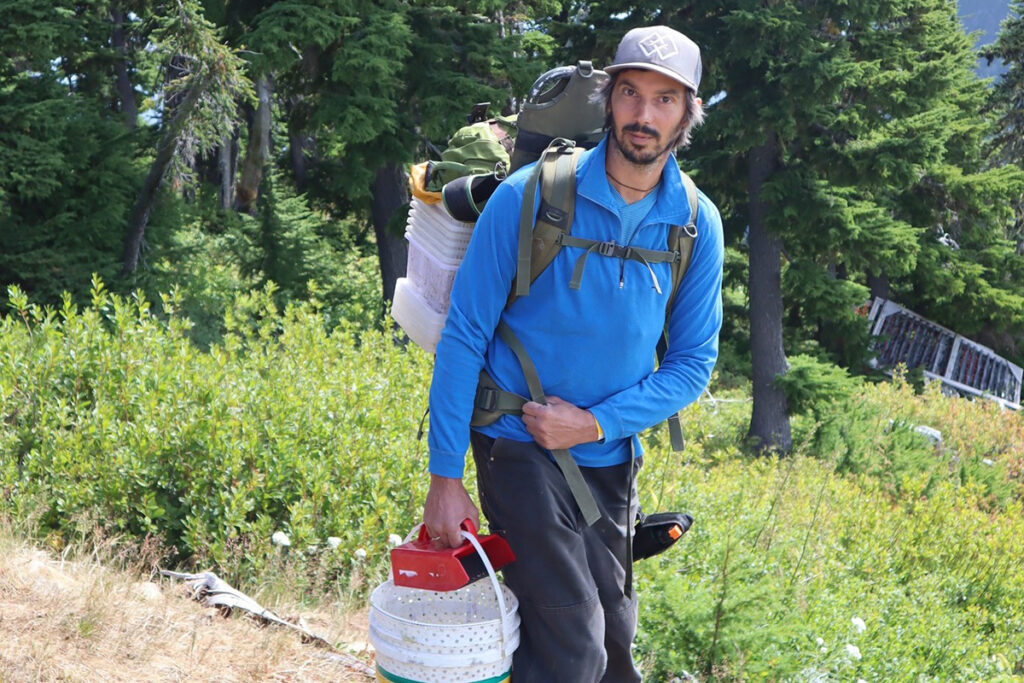 The owner of Forest For Dinner is seen carrying a bucked of mushrooms and other foraging equipment in a forestry landscape