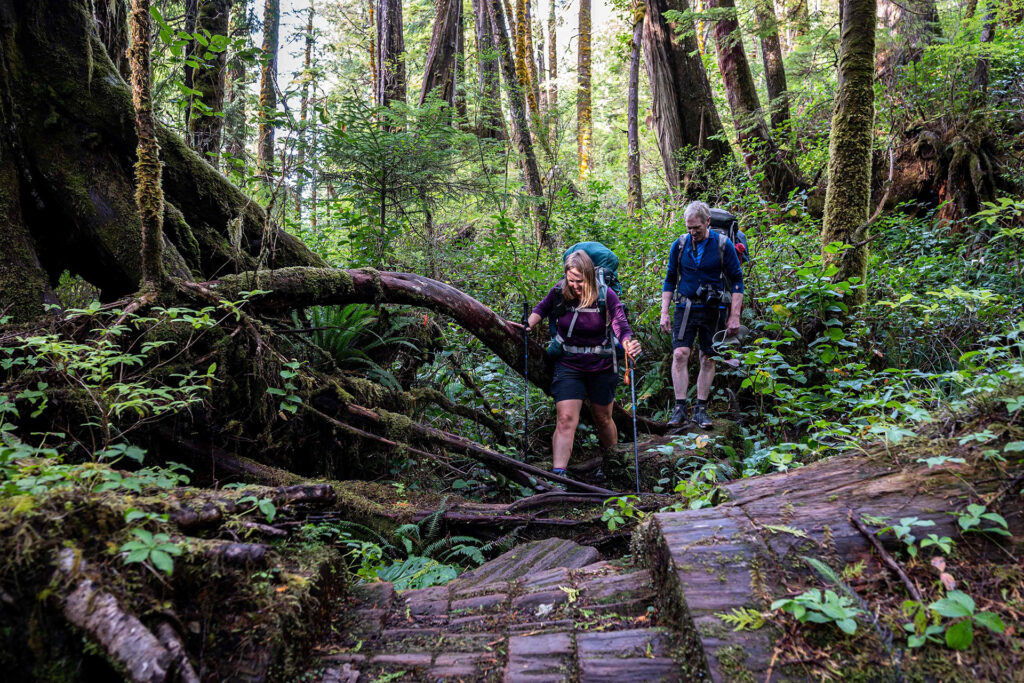 Two hikers walking through a lush green old growth forest on Nootka Island.